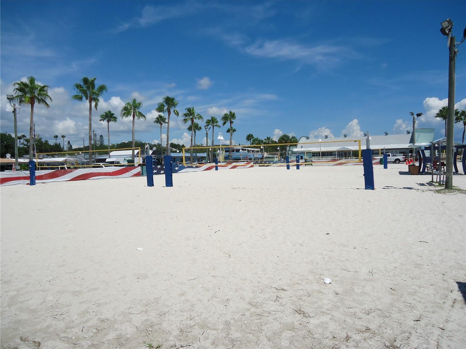Photo #15