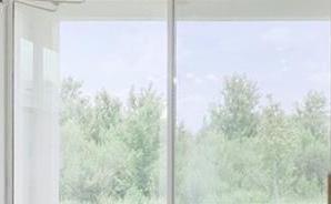 Photo #8