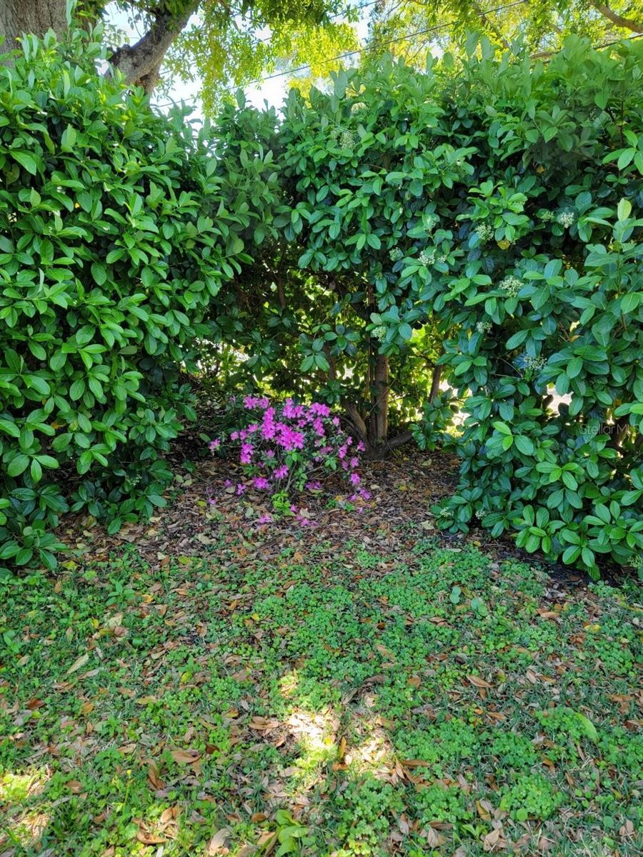 Photo #38