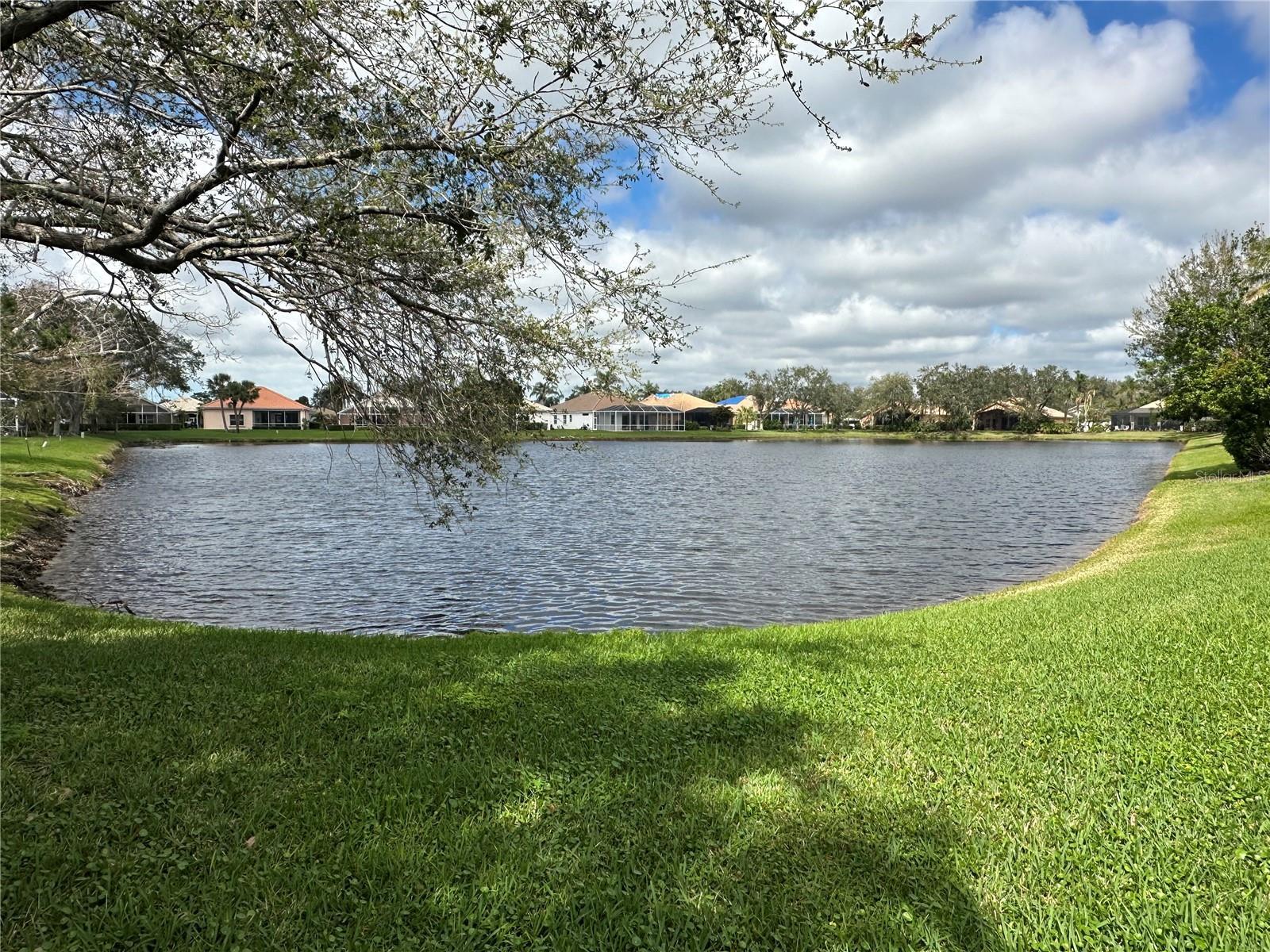 Photo #35