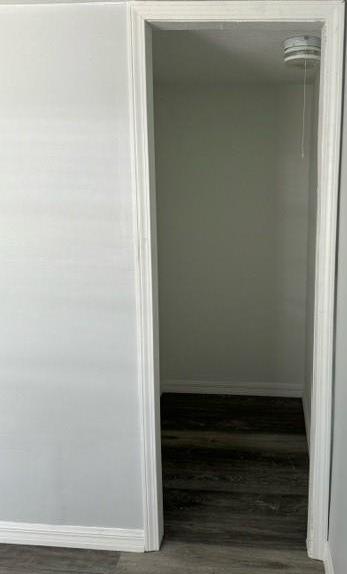 Photo #32