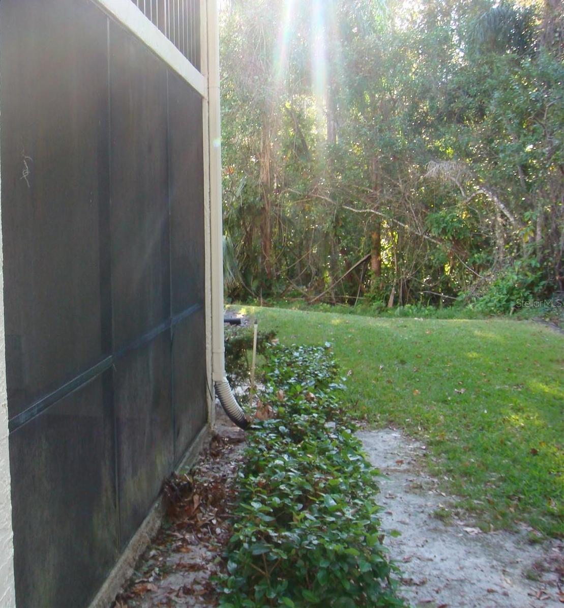 Photo #27