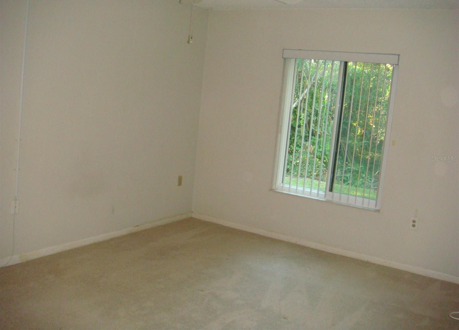 Photo #36