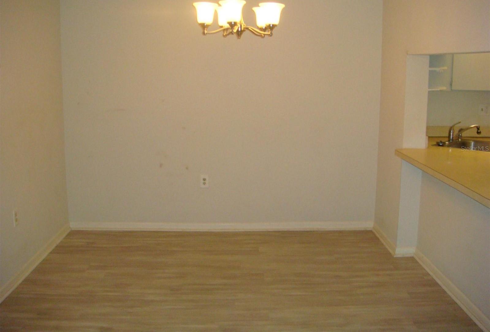 Photo #4