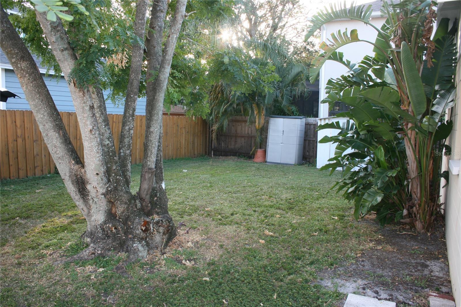 Photo #15