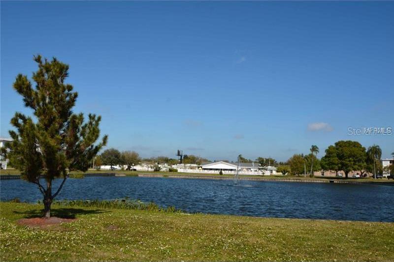 Photo #42