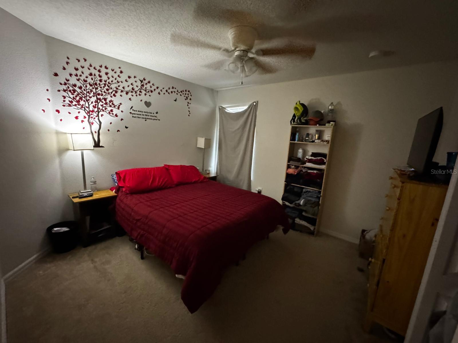 Photo #12