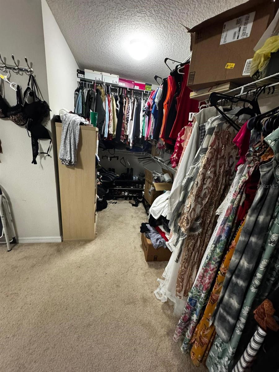 Photo #11