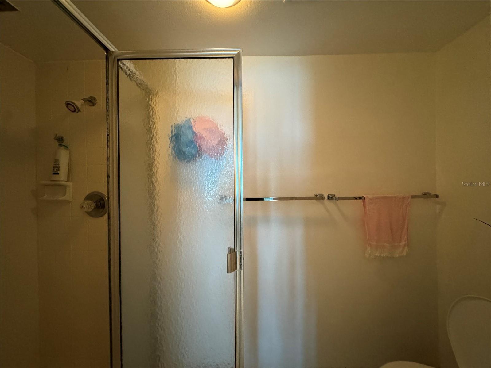 Photo #10