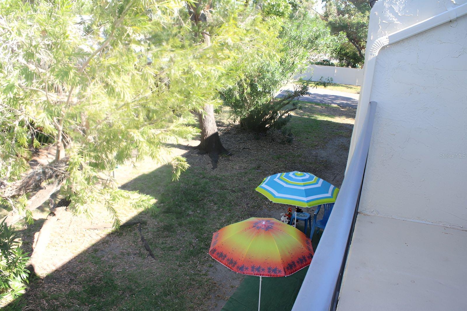 Photo #10
