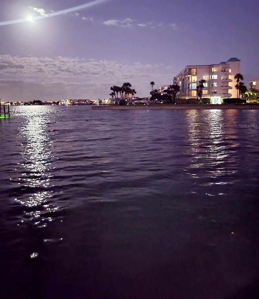 Photo #8