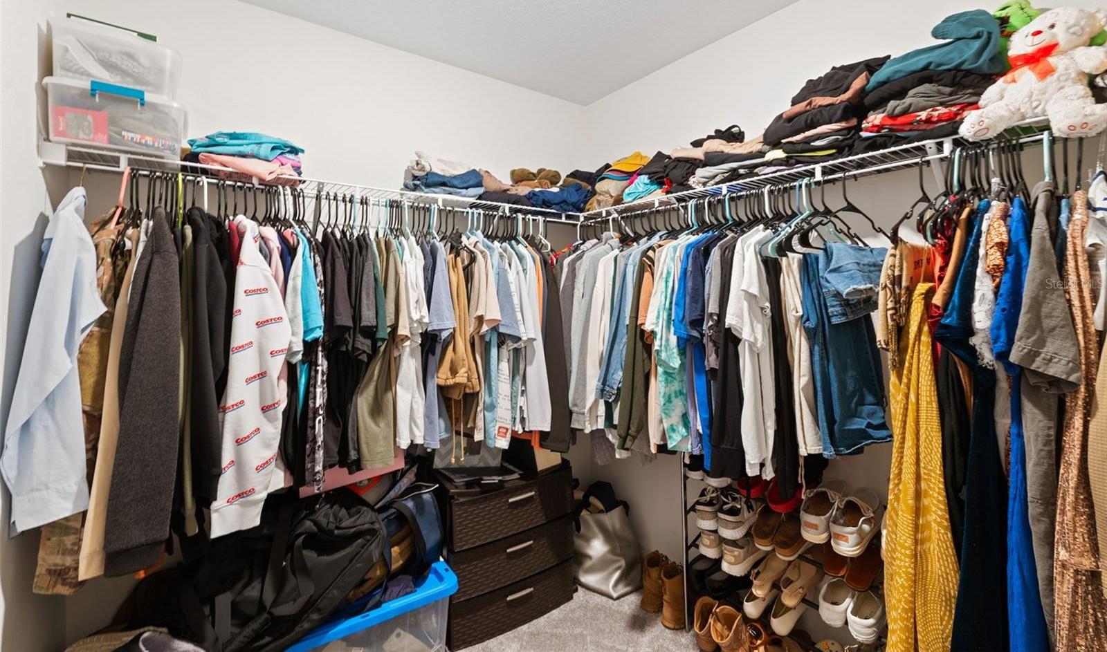Photo #15