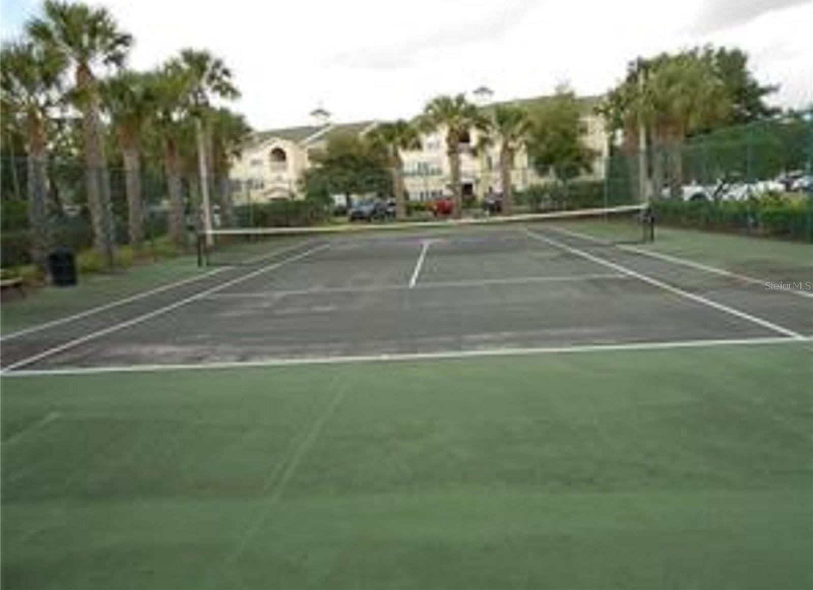 Photo #14