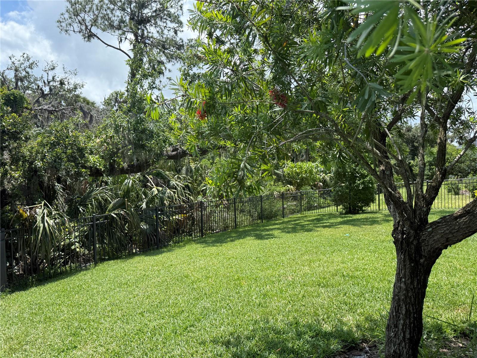 Photo #55