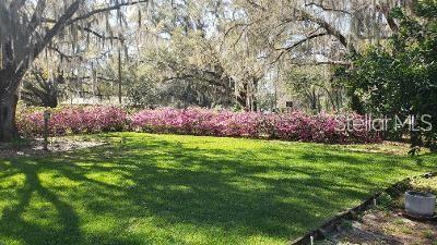 Photo #27