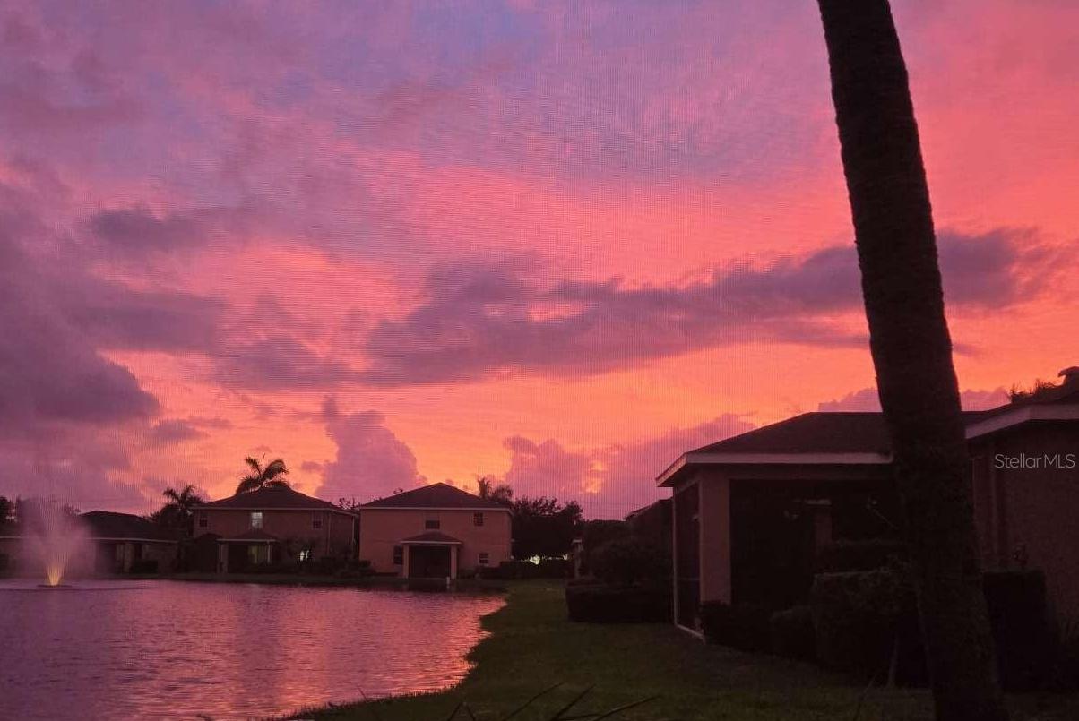 Photo #23