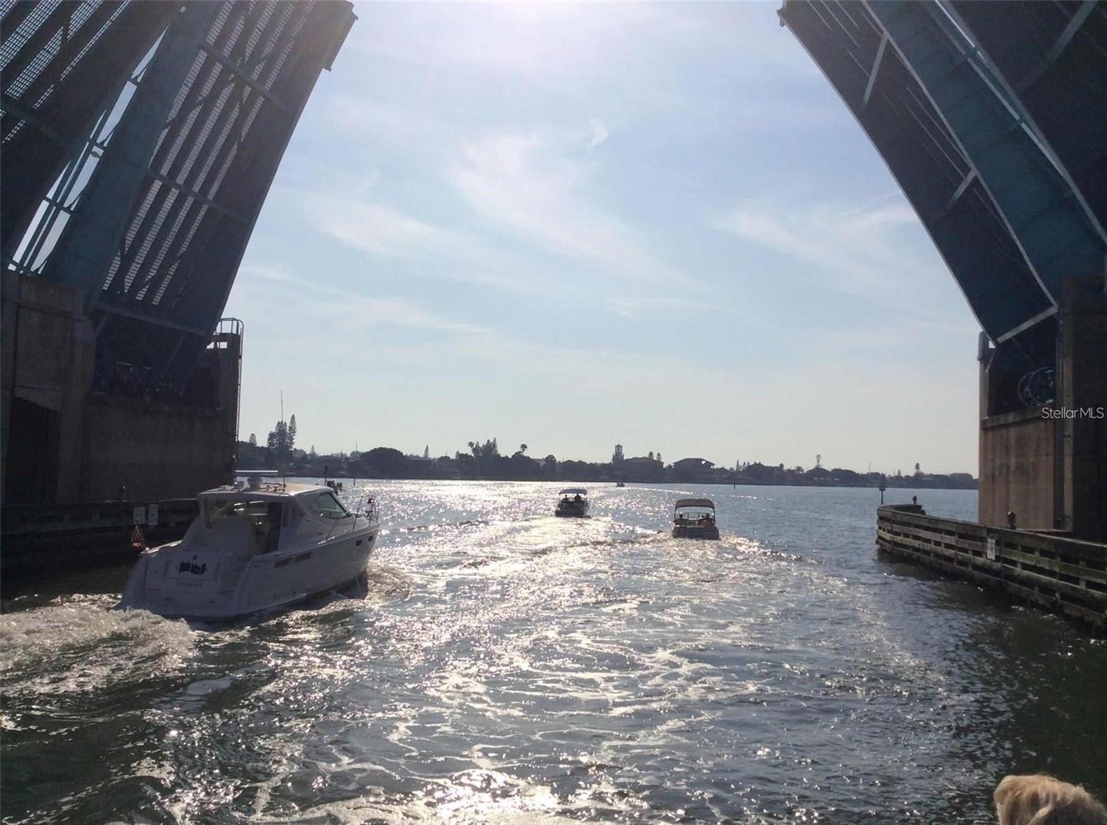 Photo #47