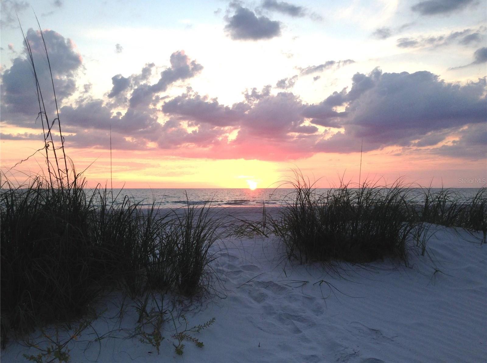 Photo #26