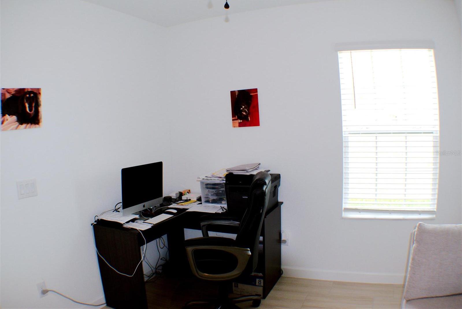 Photo #12