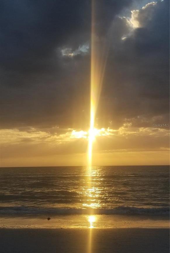 Photo #59