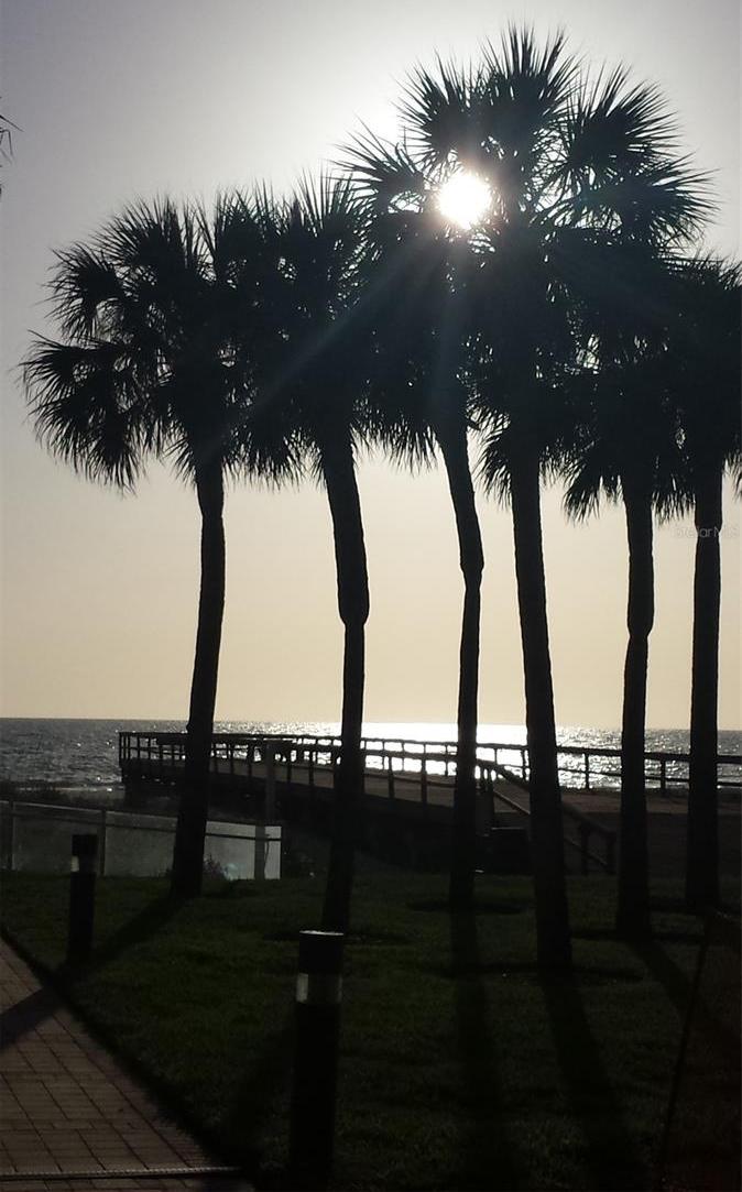 Photo #58
