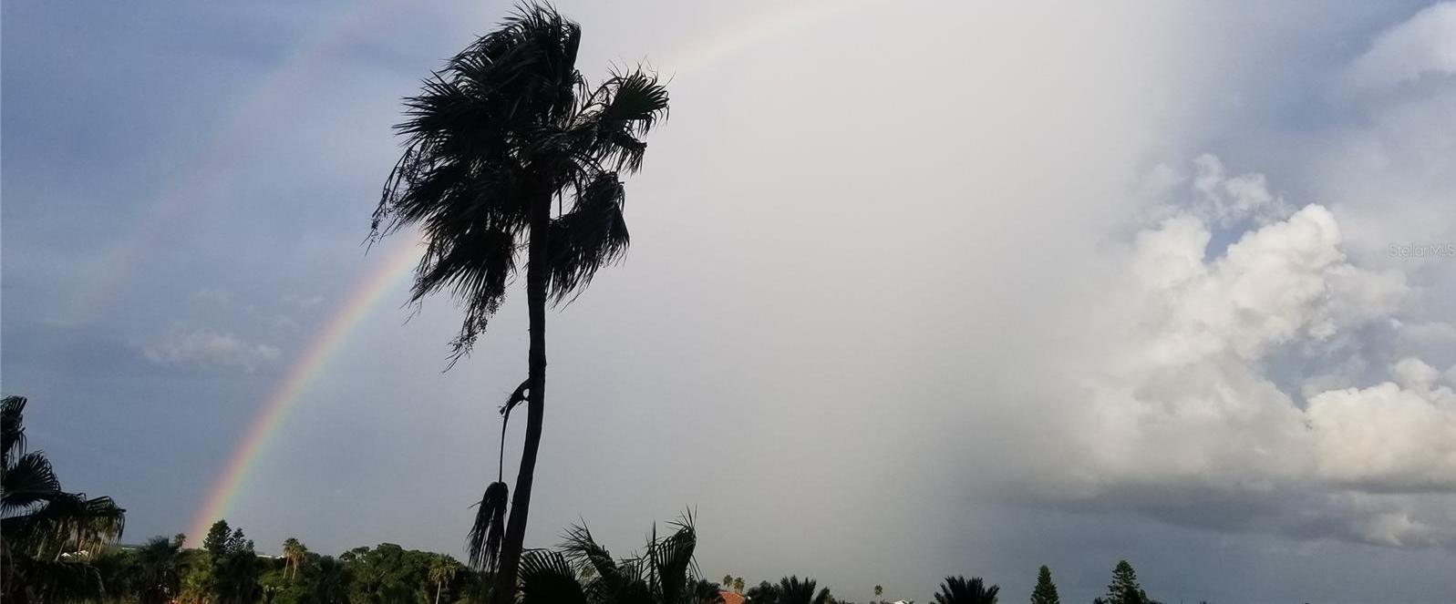Photo #65