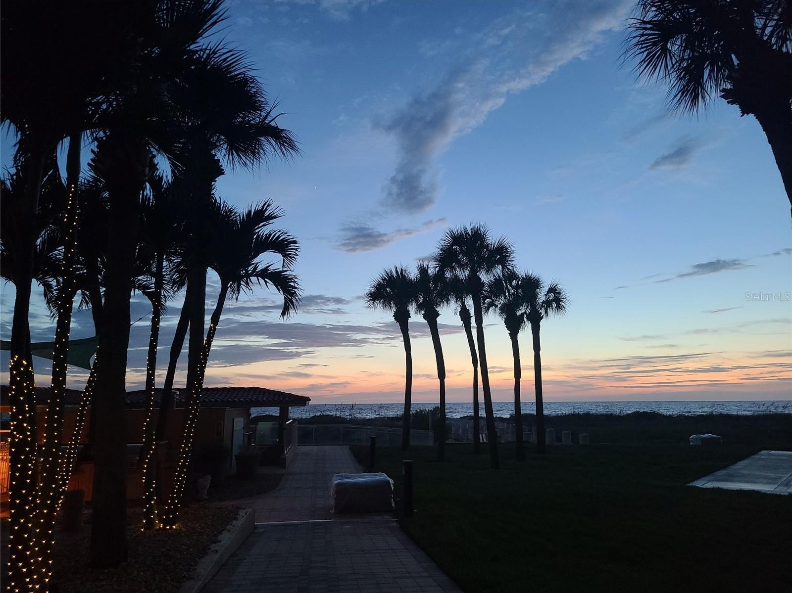 Photo #53