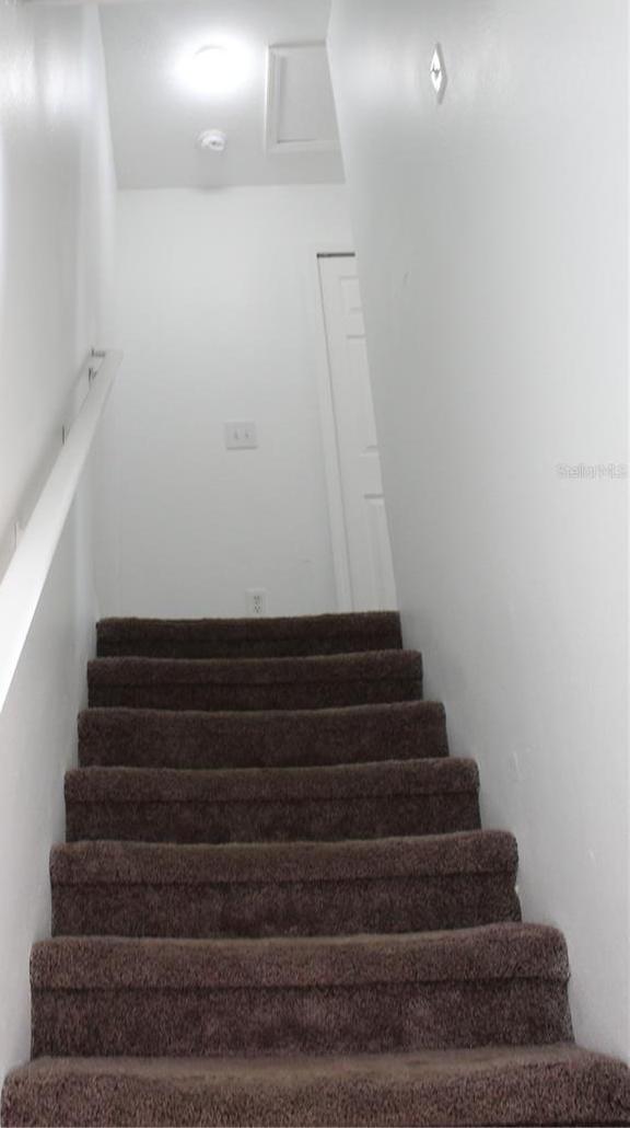 Photo #11