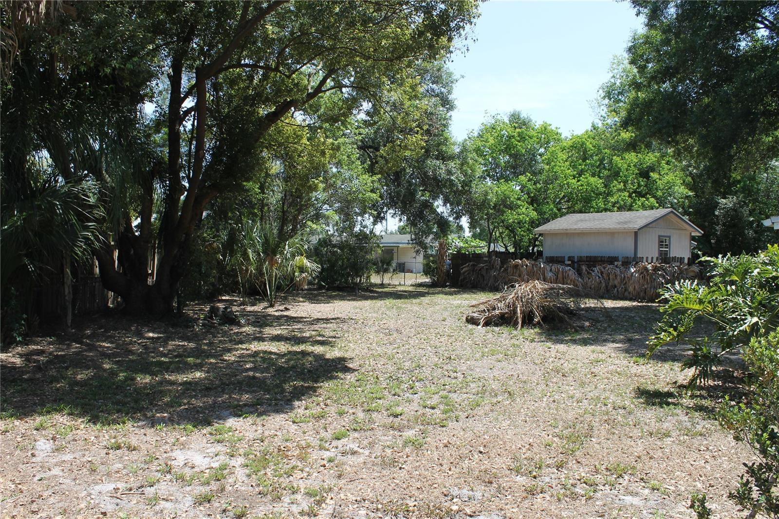 Photo #16