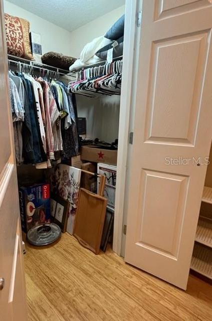 Photo #8