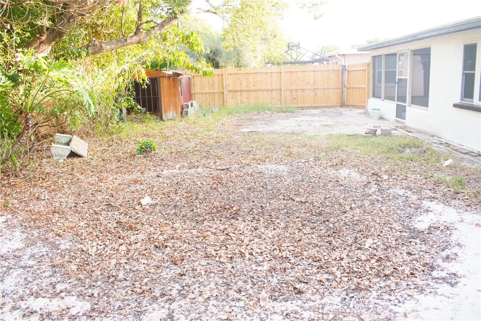 Photo #18