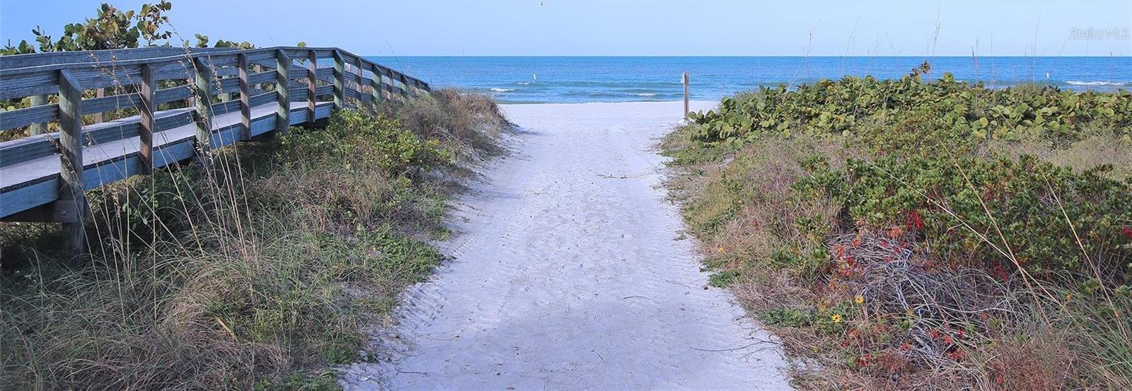 Photo #50