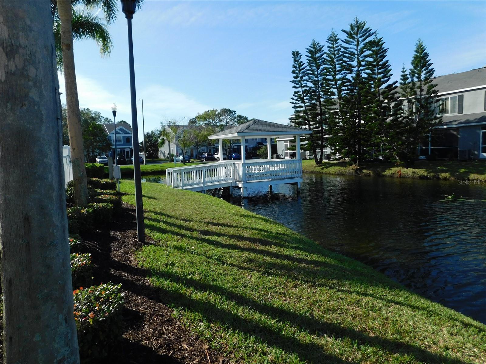 Photo #32