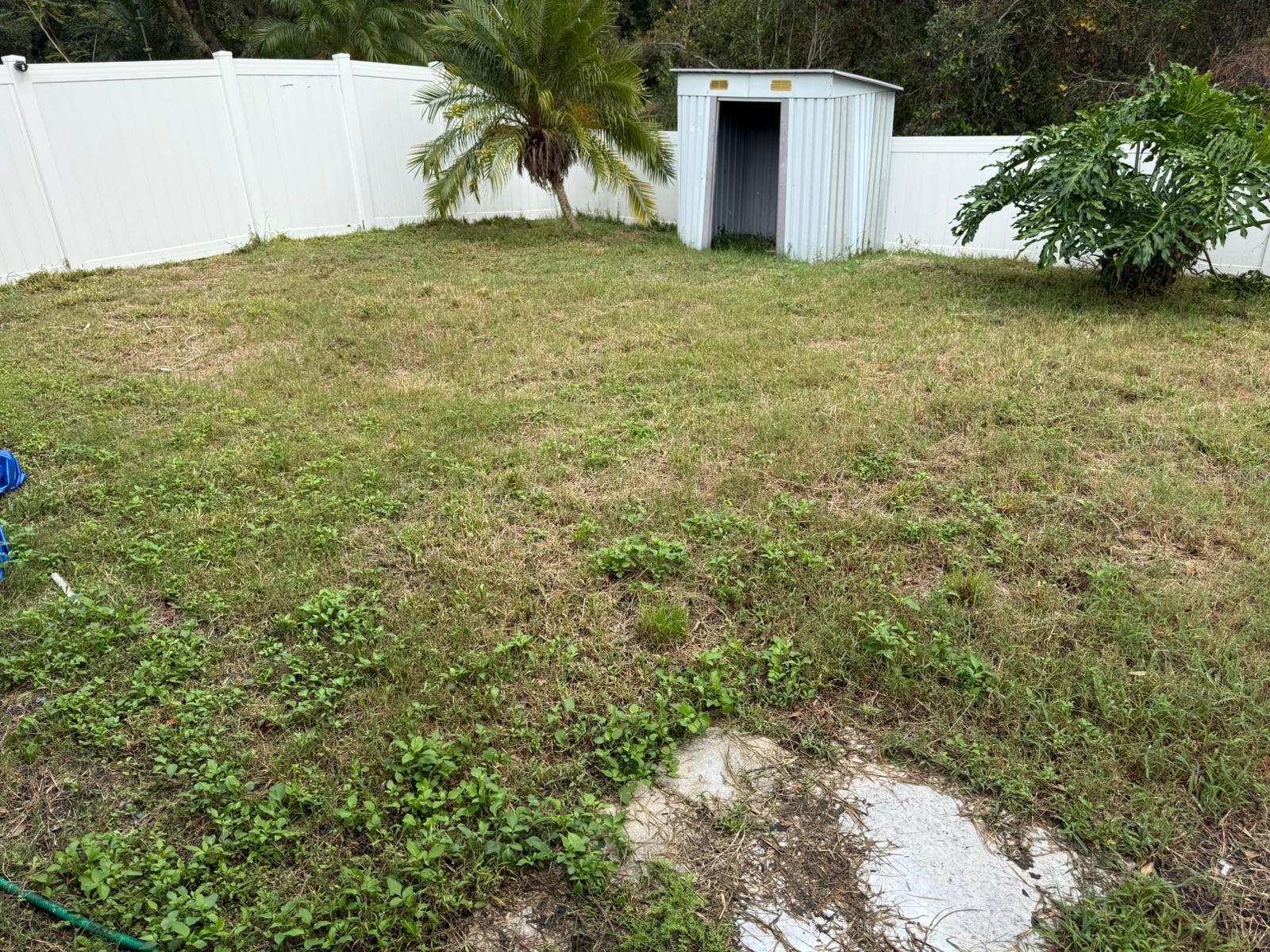 Photo #15