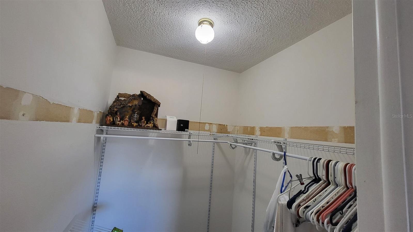 Photo #11