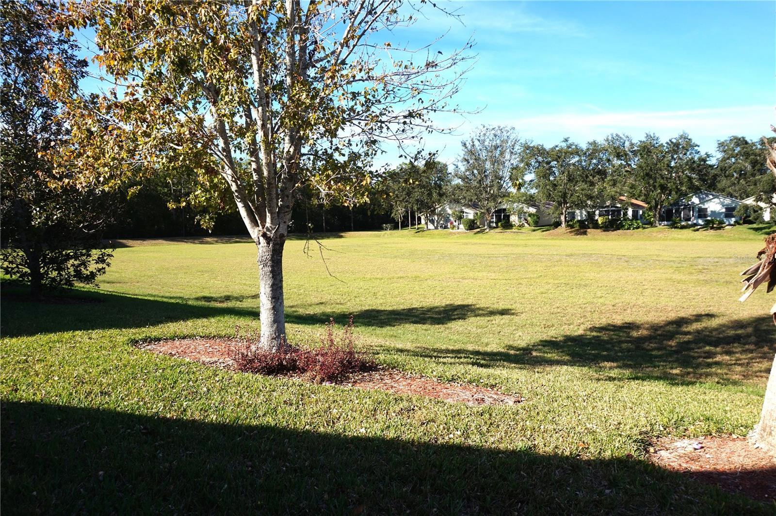 Photo #37