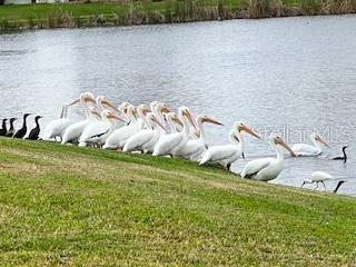 Photo #52