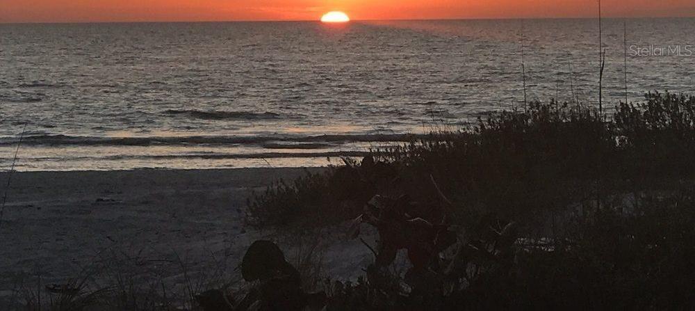 Photo #23