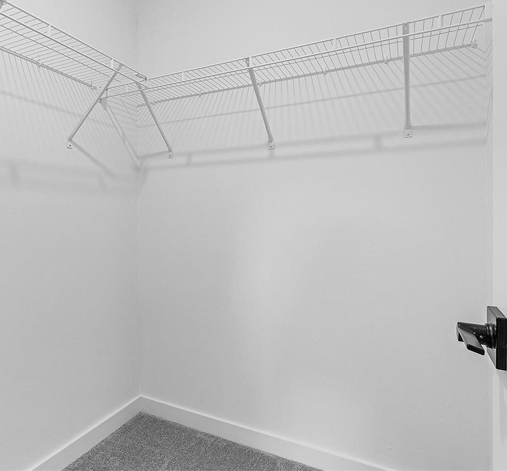 Photo #14