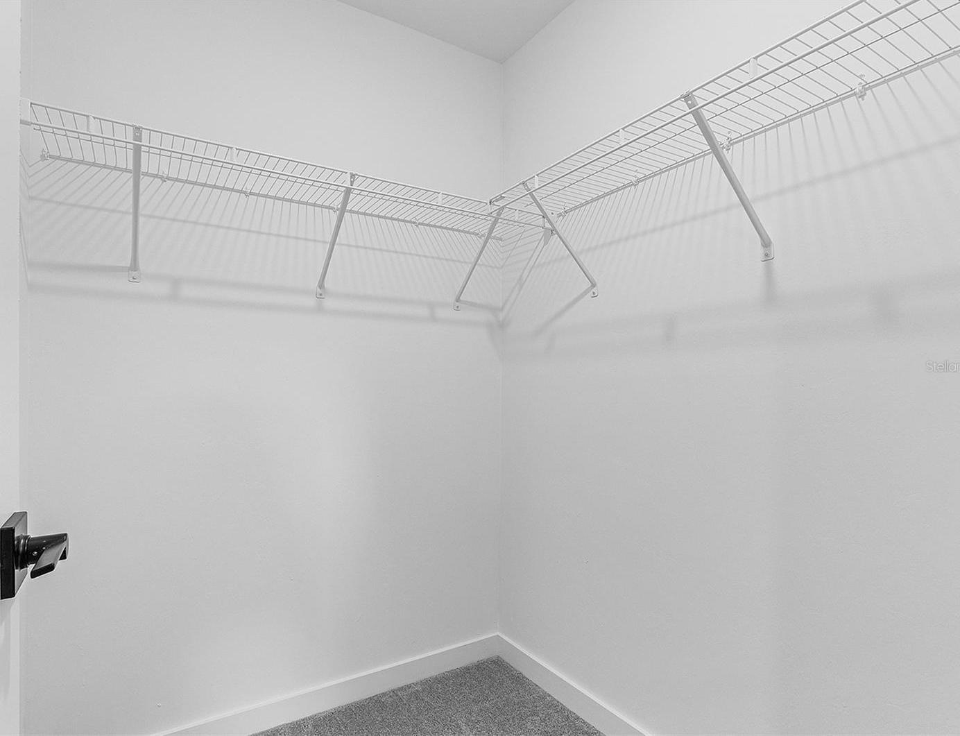 Photo #14