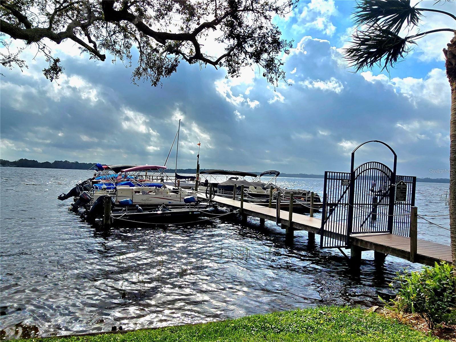 Photo #55