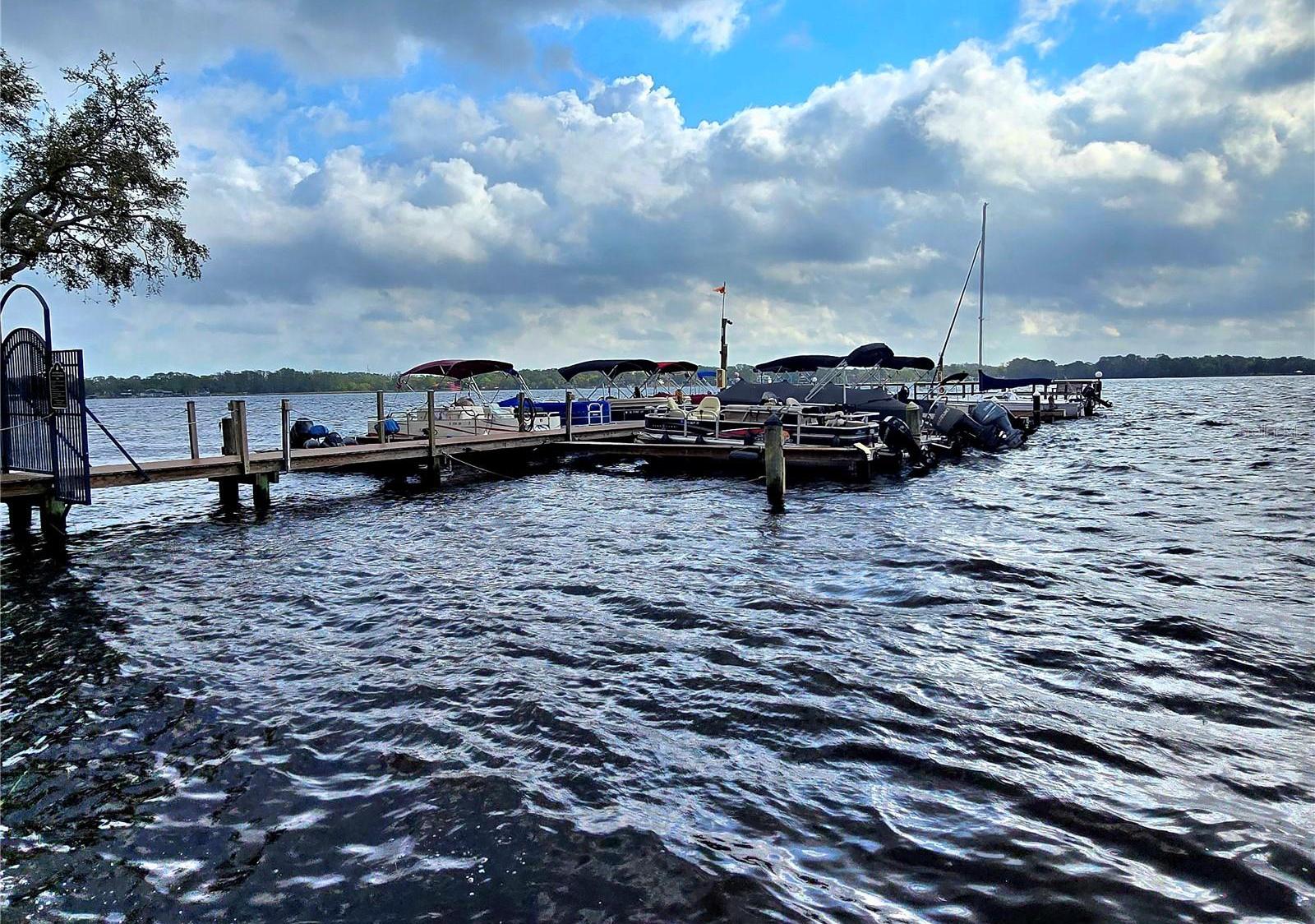 Photo #56