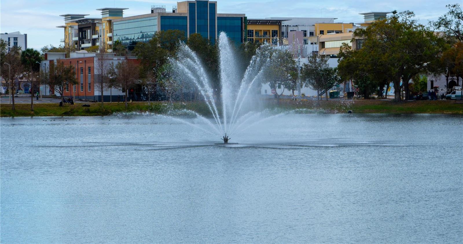 Photo #42