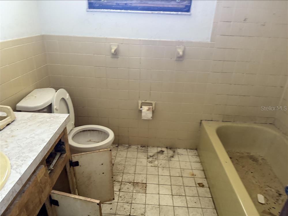 Photo #45