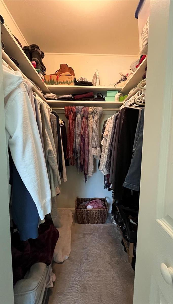 Photo #13