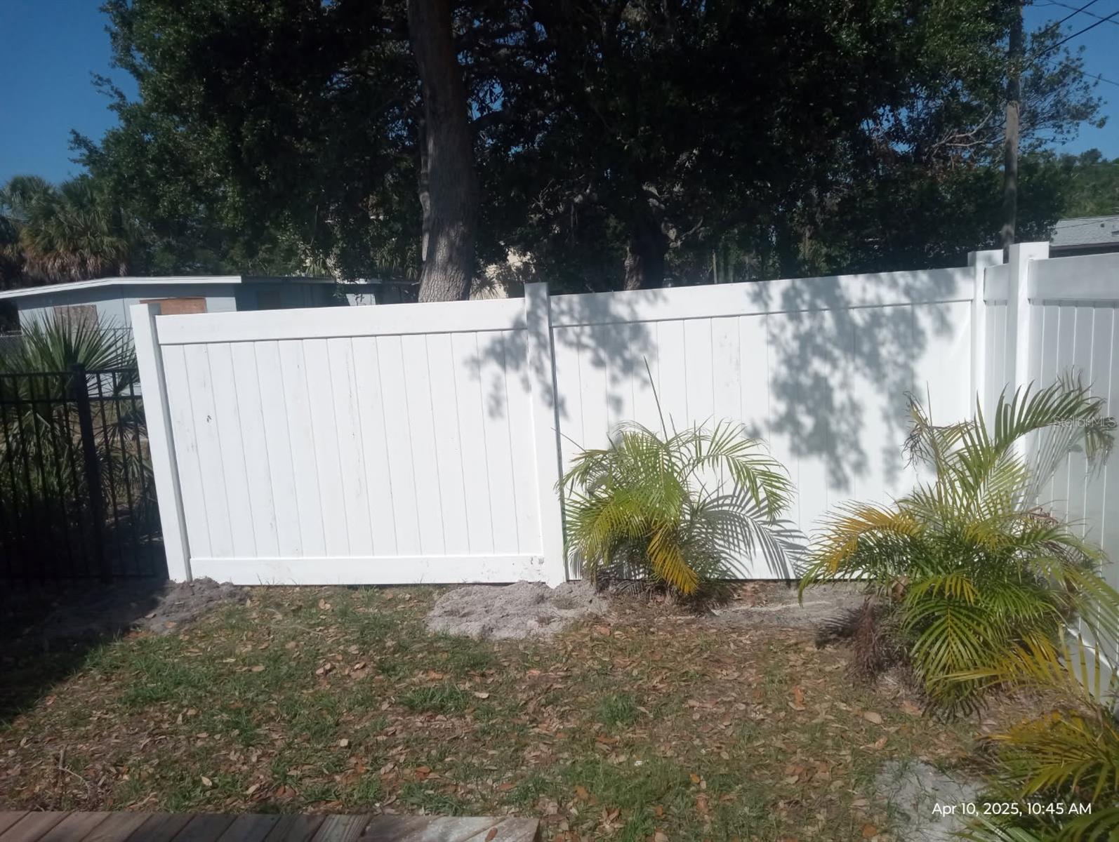 Photo #37