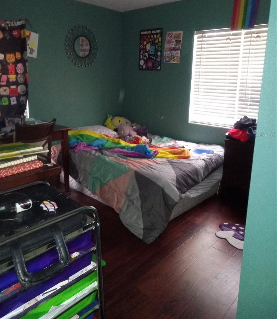 Photo #12