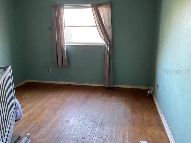 Photo #8