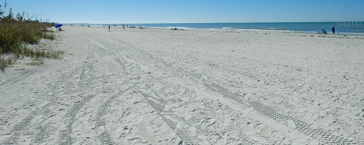 Photo #38