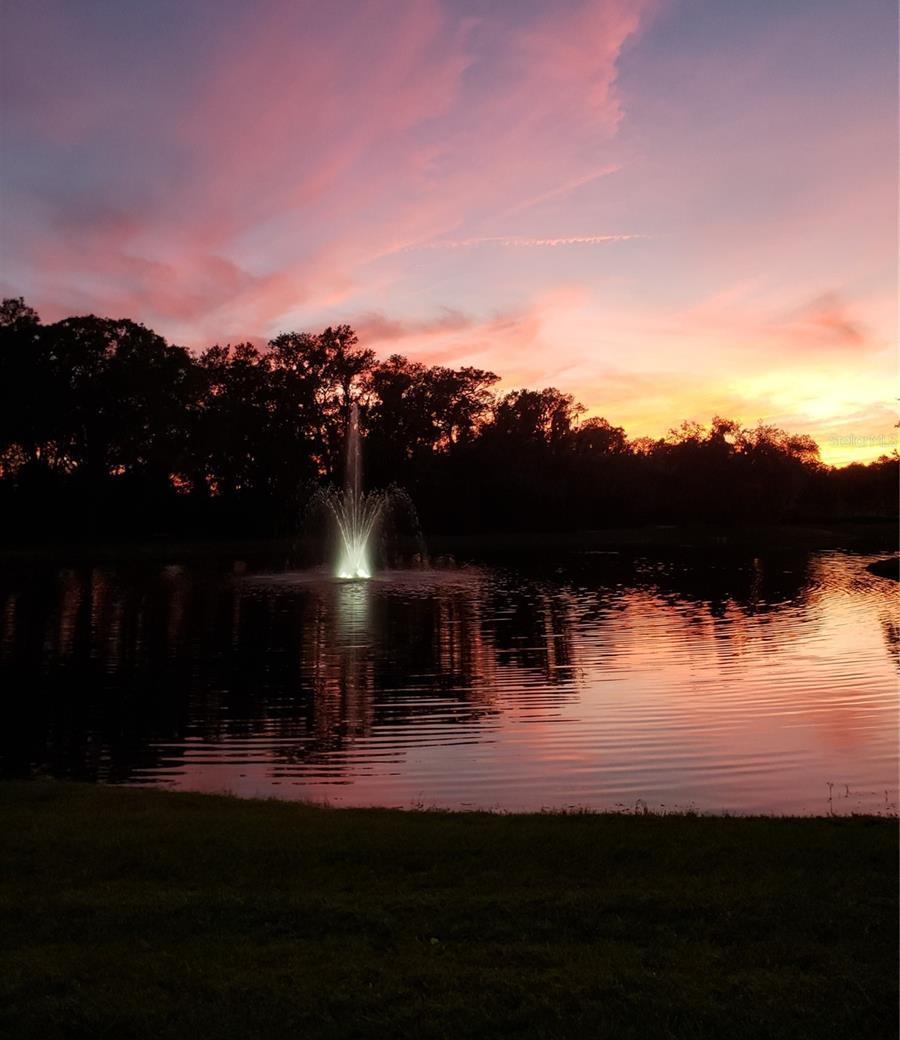 Photo #42